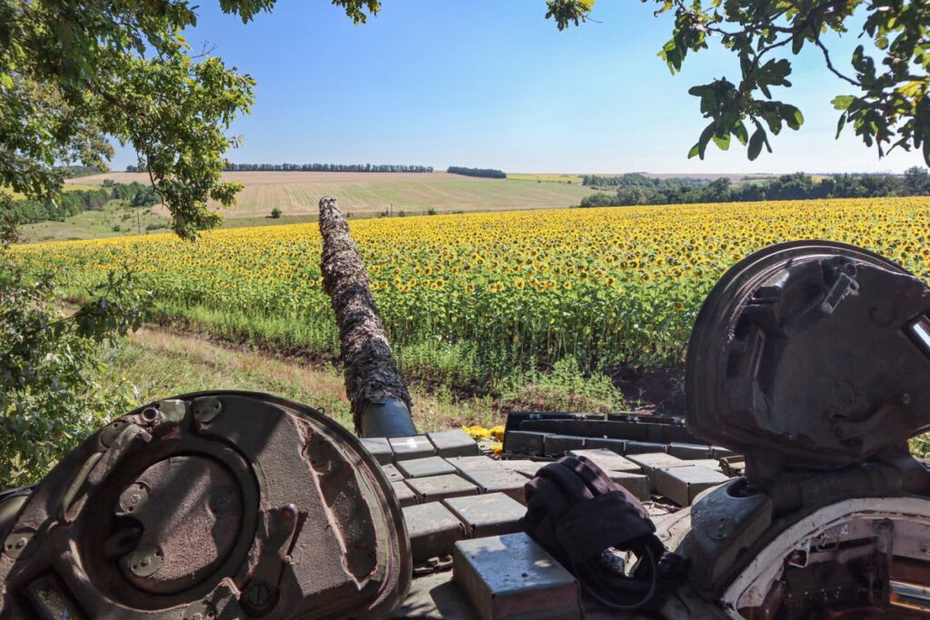 a tank overlooks a sunflower field