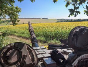 a tank overlooks a sunflower field