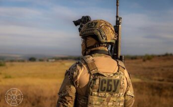 A soldier stands in a field