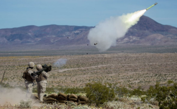 Sustaining the Stinger: How Foreign Demand Shapes the FIM-92’s Future